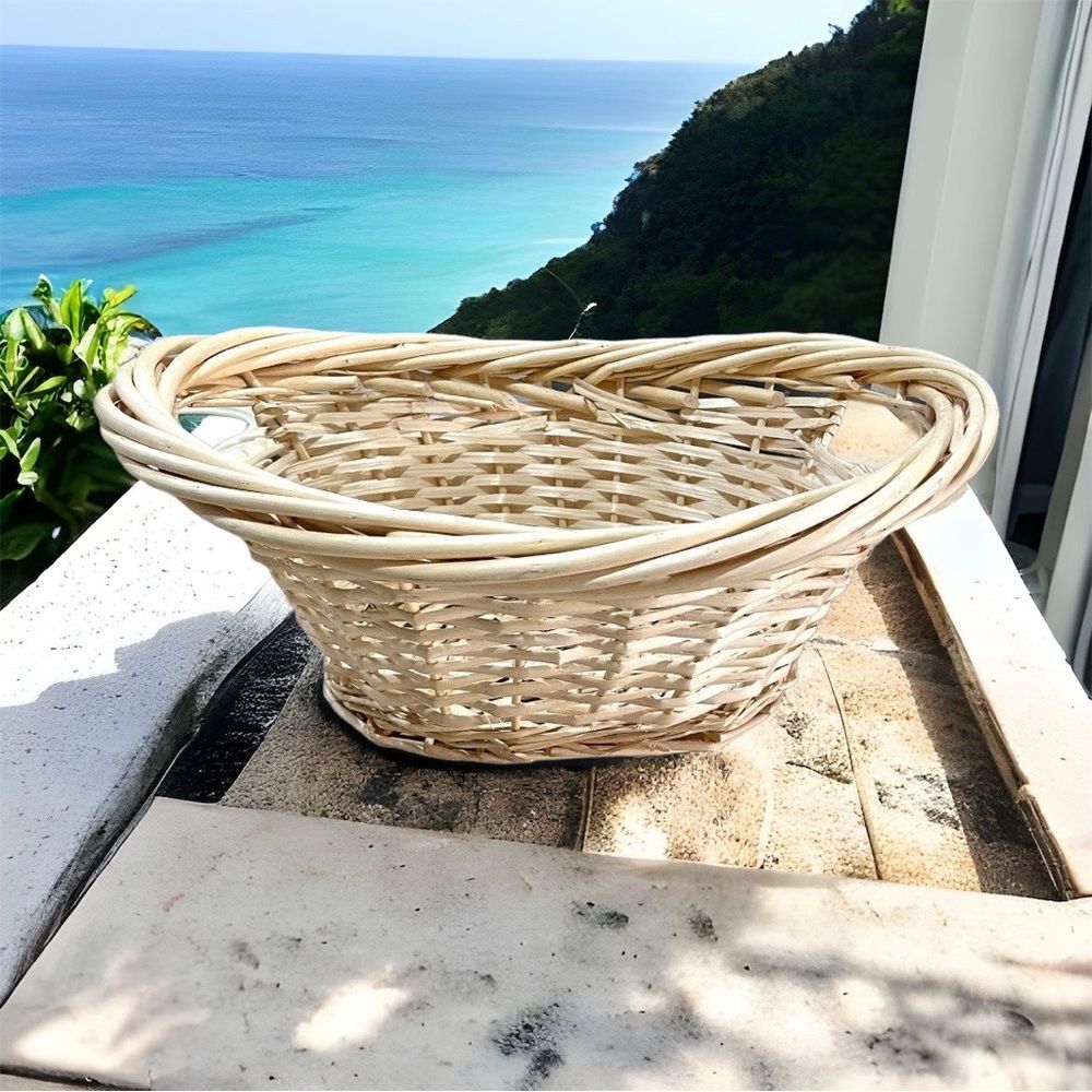 Oval Willow Basket Natural Color NWOT